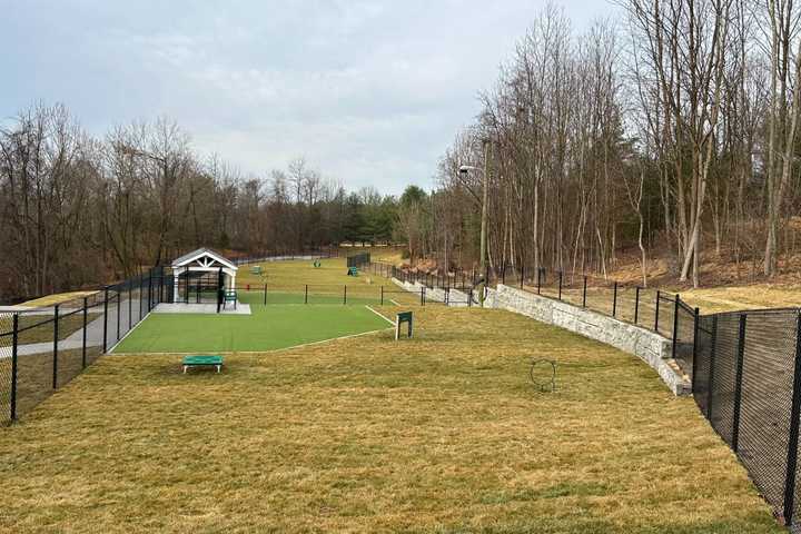 Take Your Dog Through An Agility Course At This Harford County Dog Park