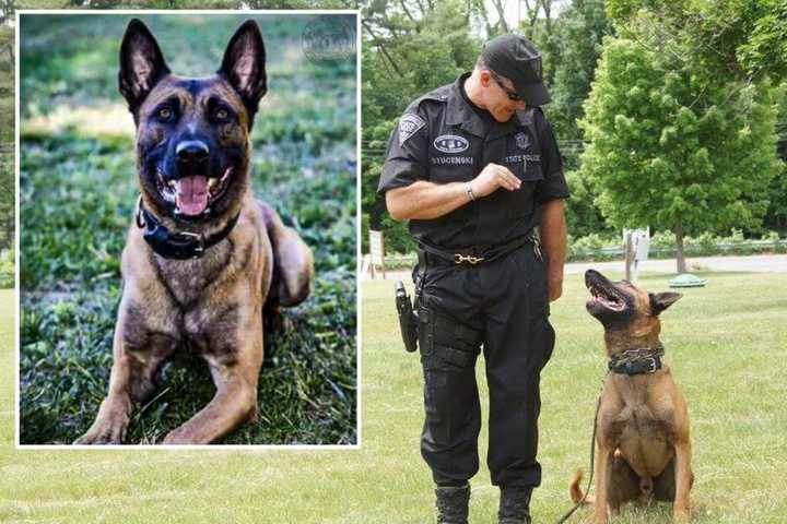 PETA Honors Massachusetts State Police K9 Killed In Fitchburg Standoff