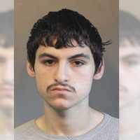 21-Year-Old Nabbed On Long Island, Connected To Over 20 Crimes, Police Say