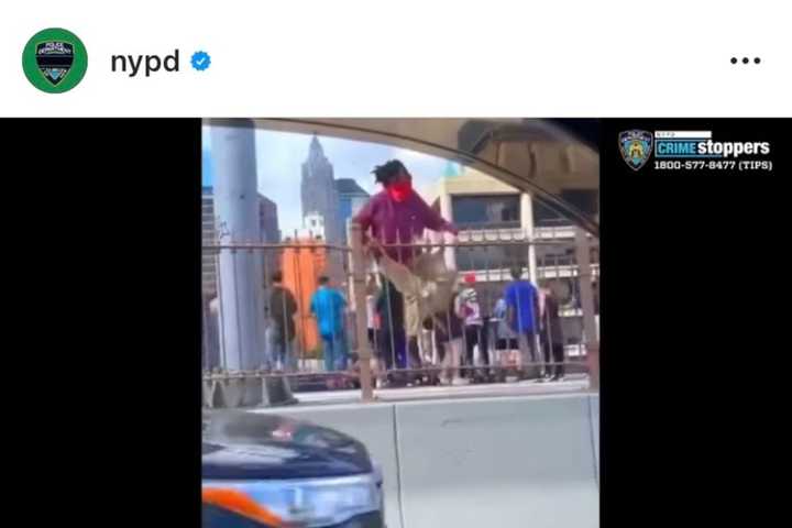 Morris County Woman Arrested In Brutal Cane Beating Of NYPD Officers (PHOTOS, VIDEO)