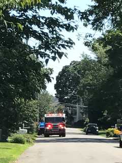 Horse Saved From Deep End Of Pool In Fairfield