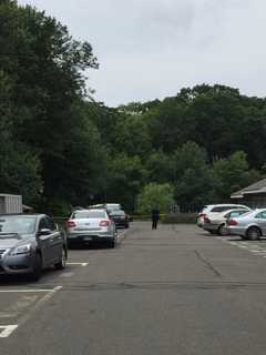 Norwalk Police: Teenage Girl Made Up Story Of Being Attacked While Jogging