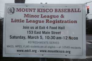 Register For Mount Kisco Baseball Programs At Exit 4 Food Hall