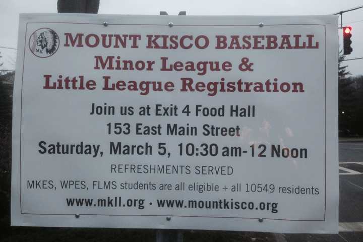 Register For Mount Kisco Baseball Programs At Exit 4 Food Hall