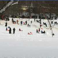 <p>Port Chester residents enjoy sledding following the snowstorm.</p>