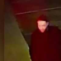 <p>One of the alleged thieves police are searching for following Saturday night&#x27;s incident.</p>