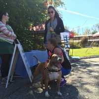 <p>Bailey the pit bull dresses up devilishly.</p>