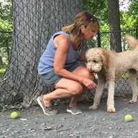 <p>Ilene Gagliardi of Teaneck took her golden doodle, Java, to the Phelps Park dog enclosure before getting herself another java -- this one iced.</p>