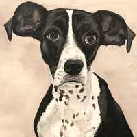 <p>Dog painting by Laura Massari.</p>