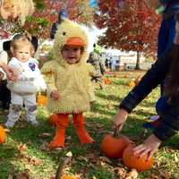 <p>Baby ducks and astronauts showed up at the Ridgewood Guild&#x27;s Halloween Spook-tac-ular.</p>