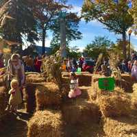 <p>Walking through the hay bale maze.</p>