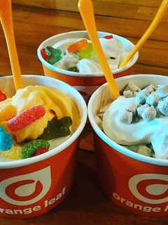 Oradell's Habitat Bergen Sets Ridgewood Froyo Fundraiser
