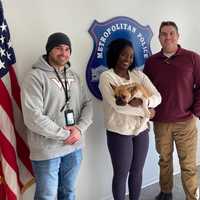 Owner Reunited With Puppy Stolen By Armed Man Outside DC Apartment