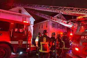 Firefighters Rescue Animals From Burning Home In Fire That Displaced 6 In Boston