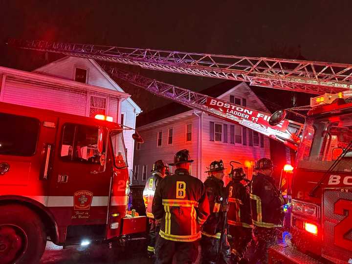 The Boston Fire Department rescued several pets during a fire in Brighton, a day after another fire broke out in Allston.