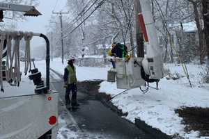 New Upcoming Storm Could Topple Trees, Power Lines Across CT, Energy Officials Warn