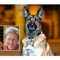 K9 Calendar Features Airport Bomb Dog Named For Ridgewood, NJ Woman Who Died In 9/11 Attack