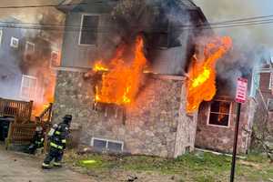 Two Dogs, Firefighter Injured In Southeast DC House Fire