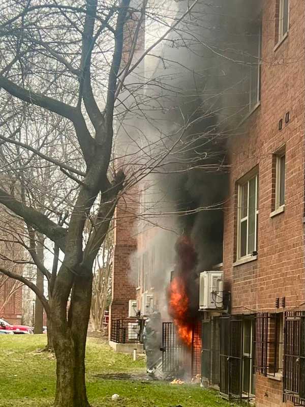 Pets Rescued, Person Critical Following Fire In Northwest DC Apartment Building (VIDEO)