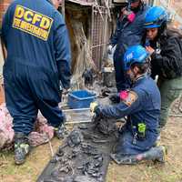 Batteries In Charging Scooter Caused DC Fire That Critically Injured 1, Displaced 23: Officials