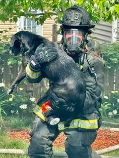 Dog Rescued, Family Displaced By Fast-Moving Northeast DC House Fire (VIDEO)