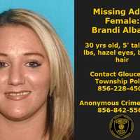 <p>Seen Her? Brandi Albano is missing</p>