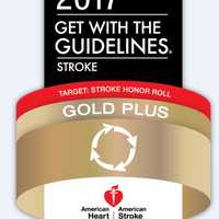 Nyack Hospital Awarded 'Gold Quality' Honor For Stroke Care