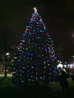Garfield Lights Christmas Tree Dec. 4