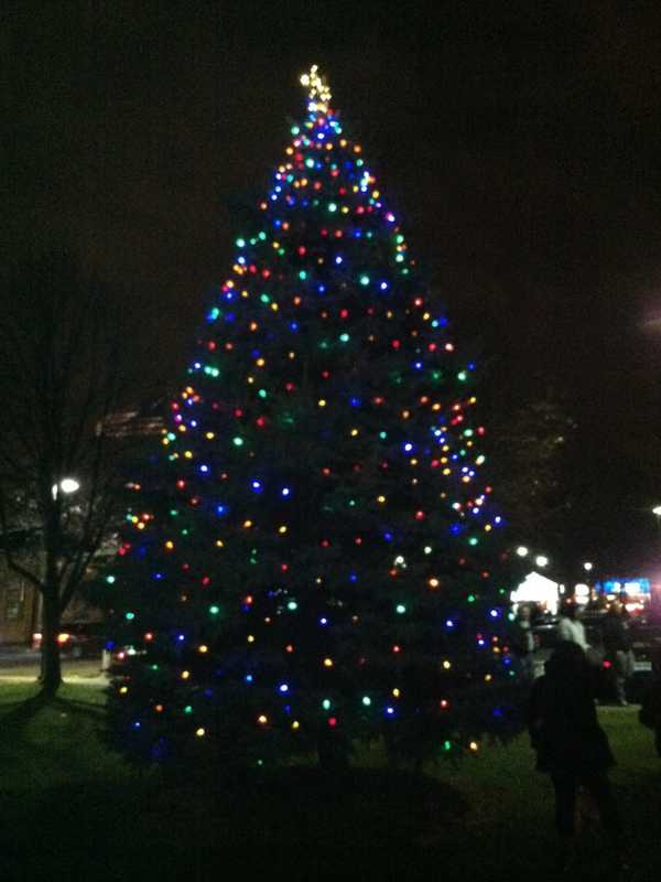 Garfield Lights Christmas Tree Dec. 4
