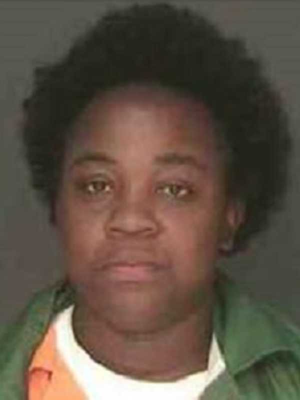 Spring Valley Woman Sought On Forgery, Larceny Charges, Police Say