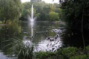 Register Now For Glen Rock Arboretum's Kids Nature Journaling Workshops