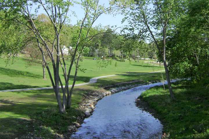 Landscaper, 88, Riding Mower Falls Into Passaic County Brook