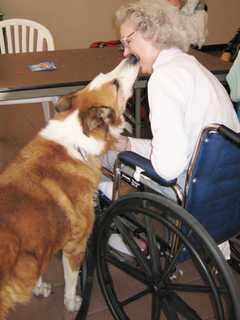 Briarcliff Animal Shelter Seeks Sponsors For Dogs In Its Outreach Program