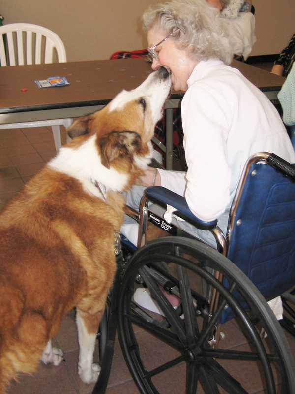 Briarcliff Animal Shelter Seeks Sponsors For Dogs In Its Outreach Program