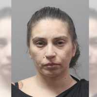 Woman Drives On Drugs With 5 Kids On Long Island: Police