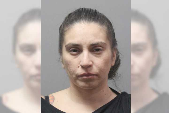 Baldwin resident Johanna Gonzalez, age 39, was arrested after she was reportedly caught driving on drugs with five kids in the car, police said.&nbsp;