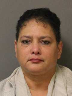 Two Charged With Stealing From Mohegan Lake Walmart