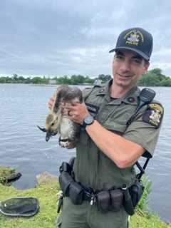 Bird With Fishing Lure Stuck In Beak Rescued In Babylon