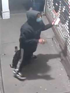 Police Searching For Duo Who Spray-Painted Suffolk County Liquor Store