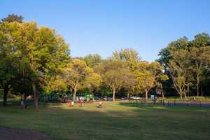 Plainfield Man, 20, Found Shot To Death In Park