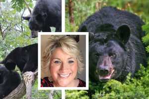 PA Mom Attacked By Bear Undergoes Multiple Surgeries