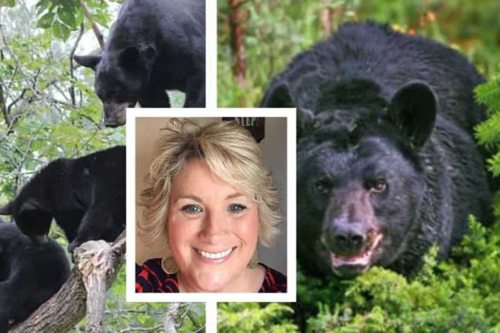 PA Mom Attacked By Bear Undergoes Multiple Surgeries