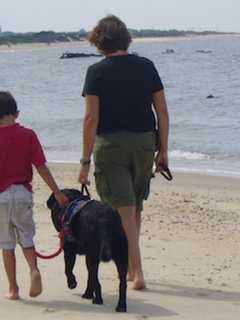 'Strut Your Pup' In Cold Spring And Raise Money For Heeling Autism