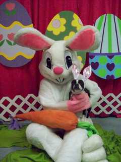 Chamber Of Commerce Celebrates Easter In Allendale