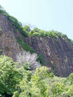 Tarrytown 22-Year-Old Rescued After Falling From Cliff