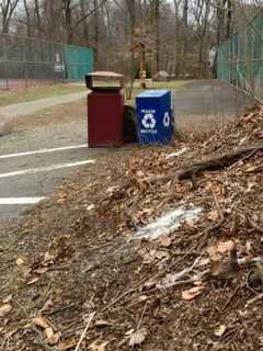 Harrington Park Green Team Cleans Up George Street Park