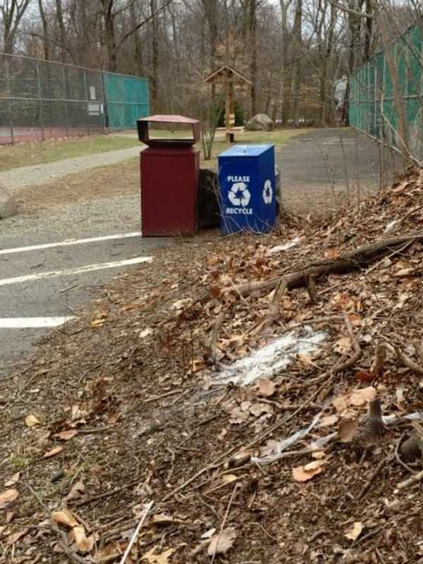 Harrington Park Green Team Cleans Up George Street Park