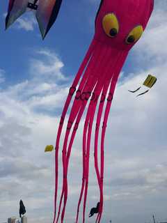 Show Off Your Kite-Flying Skills At Hudson River Museum In Yonkers