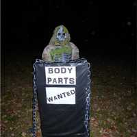 <p>Halloween decorations at the Somers home of Linda Luciano.</p>