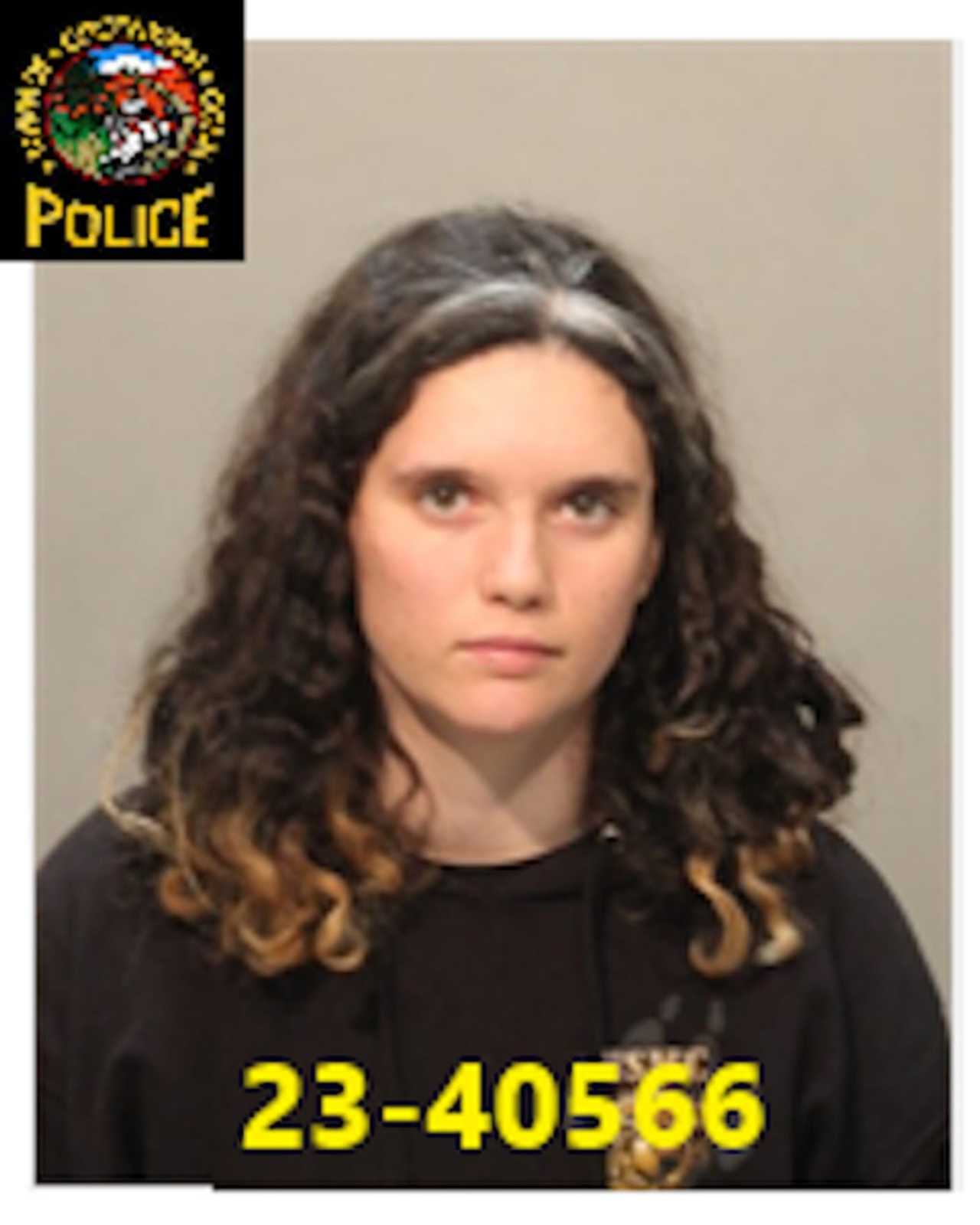 greenwich-woman-accused-of-sending-explicit-texts-on-ways-to-kill-her
